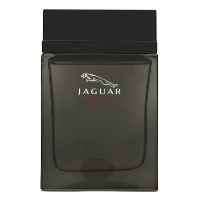 Jaguar Vision III toaletná voda pre mužov 100 ml PJAGUVI310MXN008217