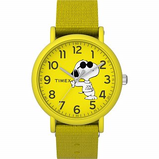 Detské hodinky Timex TW2T65900